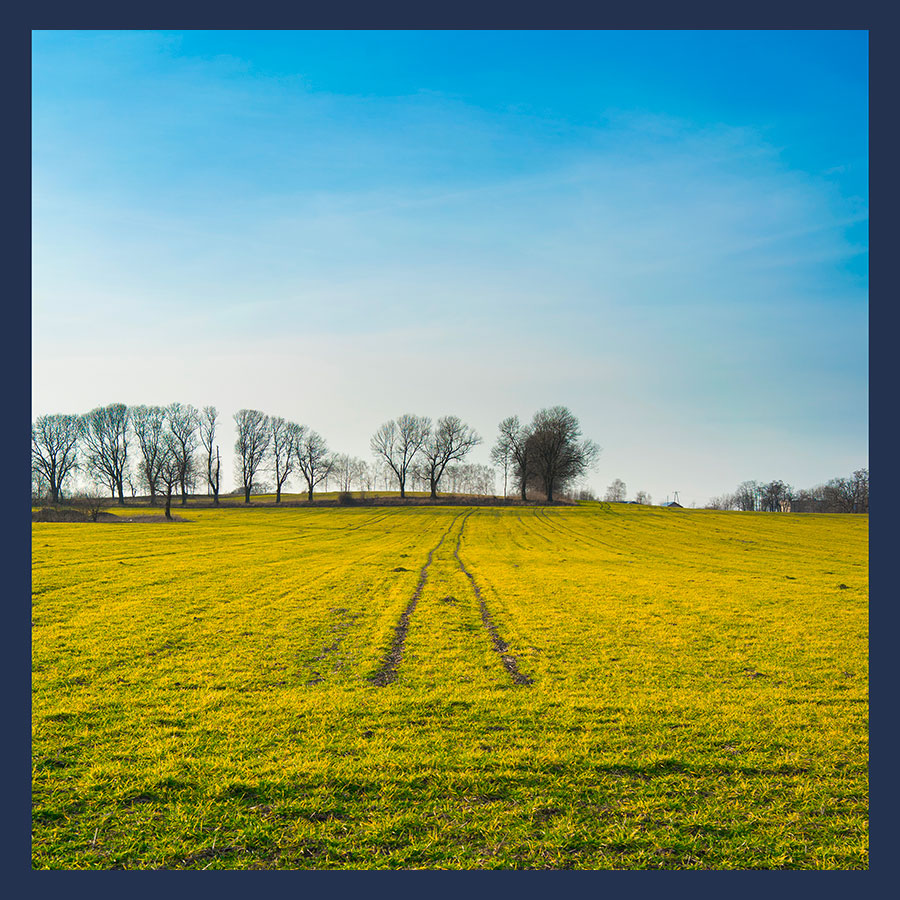 Parcelle agricole en milieu rural illustrant la vente d’une parcelle agricole et le droit de préemption SAFER