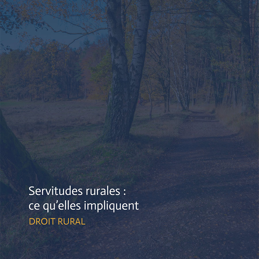 Chemin de terre bordé d’arbres traversant une parcelle agricole illustrant un exemple de servitudes rurales
