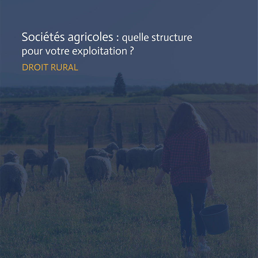 Structurer son exploitation avec la bonne forme de sociétés agricoles